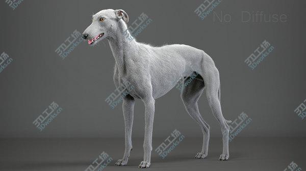 images/goods_img/20210312/3D model Greyhound (3) (Fur)/4.jpg